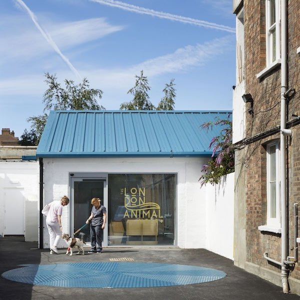 THE LONDON ANIMAL HOSPITAL | LIGHTING - DYKE & DEAN | PHOTOGRAPHY - JACK HOBHOUSE - DYKE & DEAN