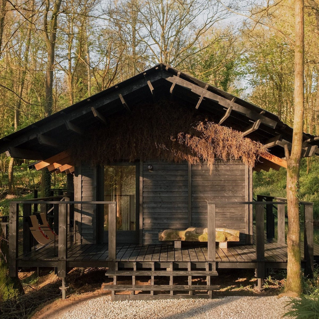 YOGI'S CABIN, EAST SUSSEX | LIGHTING SUPPLY | DESIGN BY BUILT WORKS | PHOTOGRAPHY BY CONNOR DUFFY - DYKE & DEAN