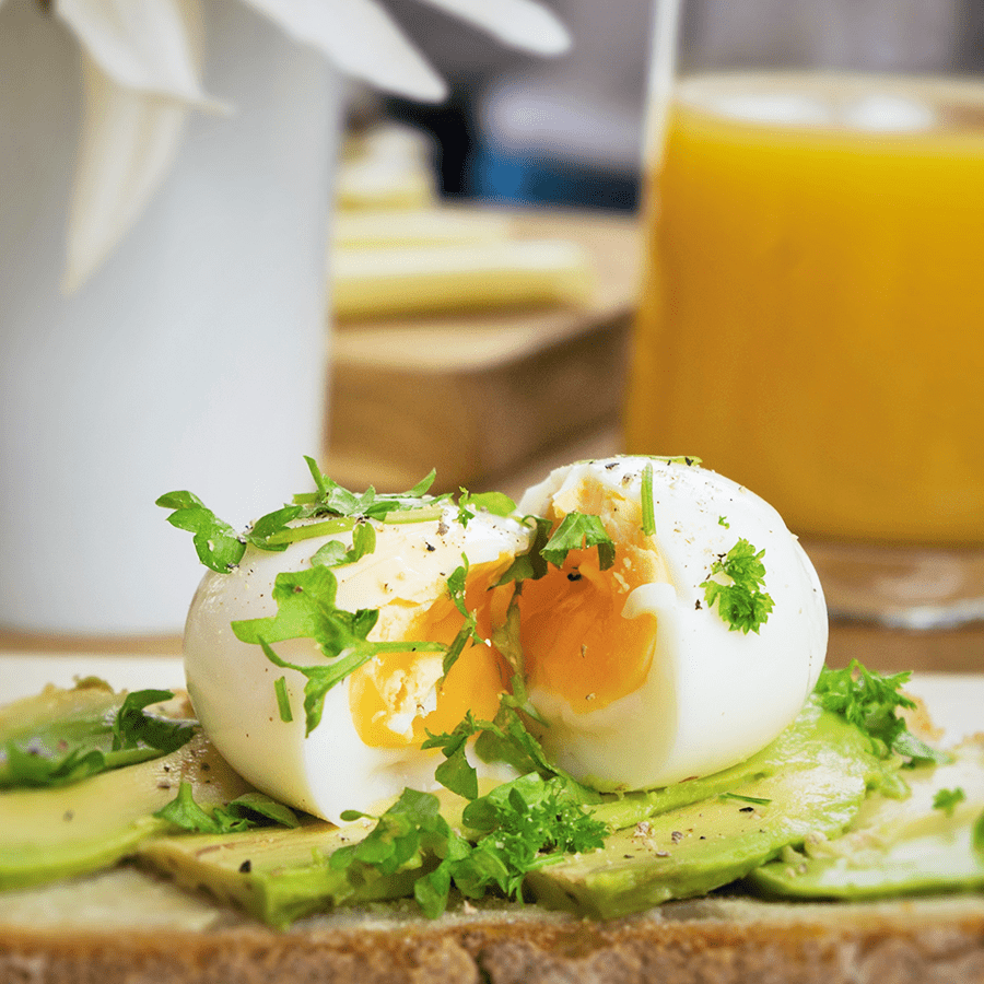 BEEP SINGING EGG TIMER TURQUOISE - DYKE & DEAN