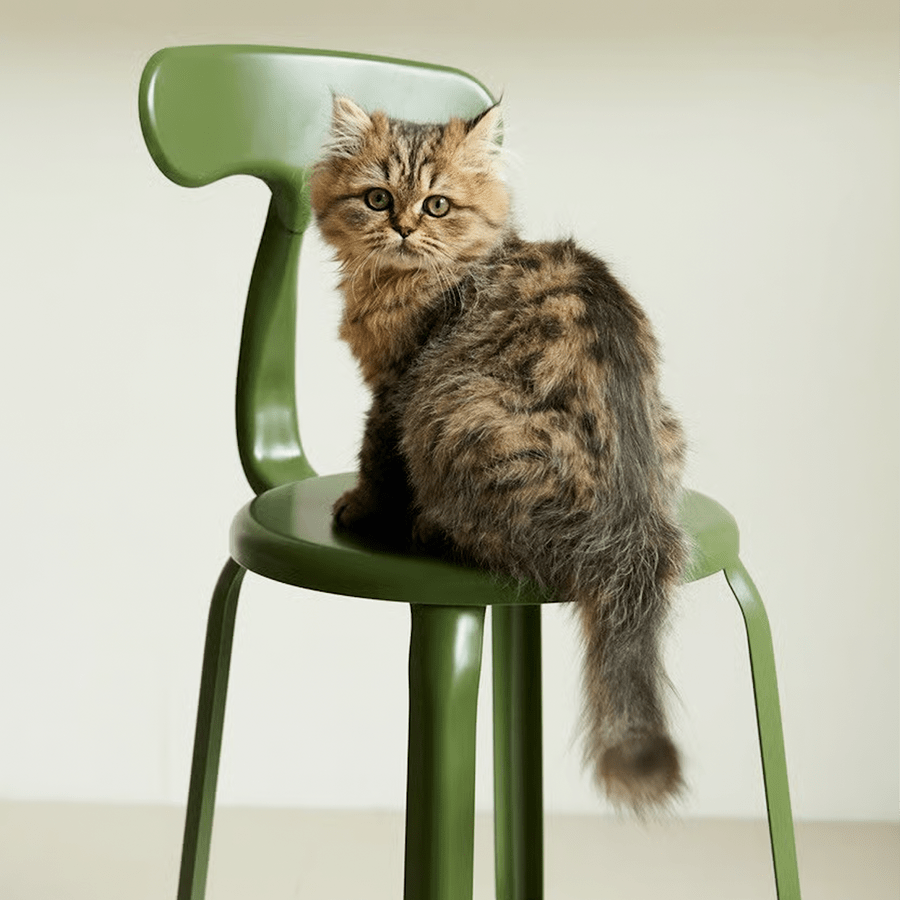 CHAISES NICOLLE METAL CHAIR 80 - DYKE & DEAN