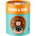 SCRUBBER YLANG & ROSE DRY SHAMPOO - DYKE & DEAN