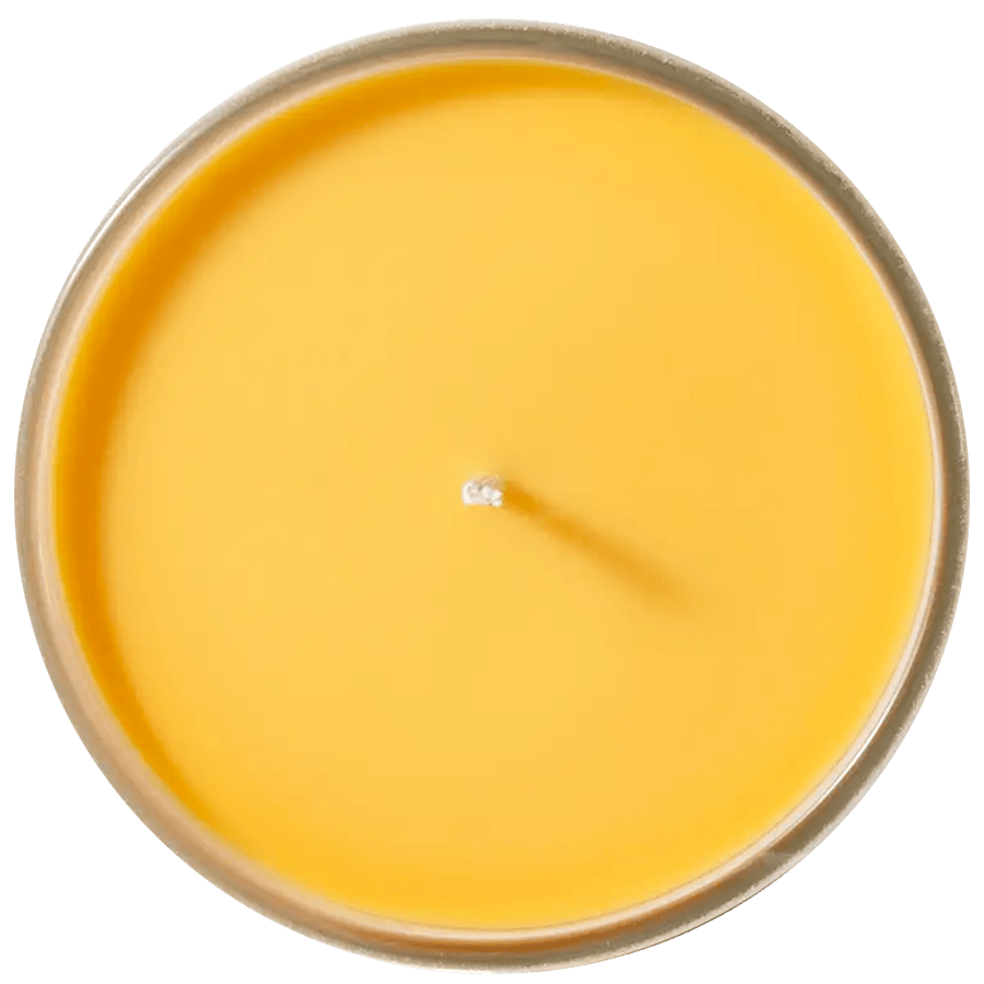 NORDIC WELLNESS VITAMIN C CANDLE - DYKE & DEAN