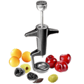 OLIVE & CHERRY PITTER - DYKE & DEAN
